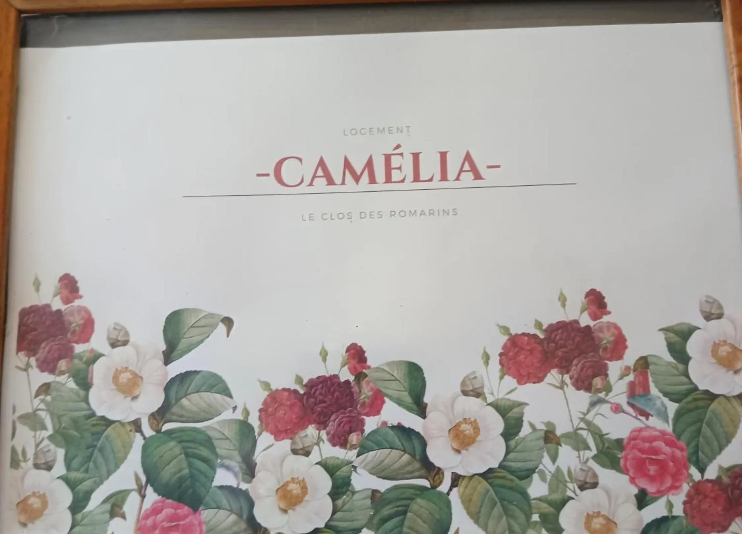 Le Clos Des Romarins Gite Camelia Belmontet